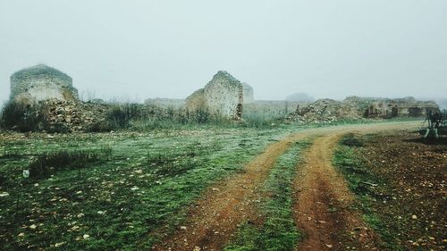 Close-up of wet tree against clear sky