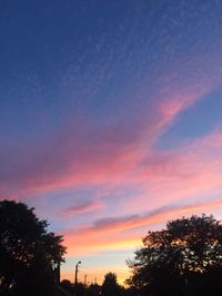 Low angle view of trees against sky at sunset