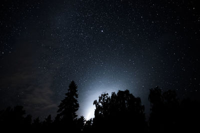 Low angle view of silhouette trees against star field
