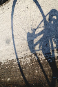 Shadow of person on bicycle during sunny day