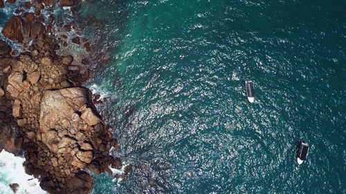 High angle view of rock swimming in sea