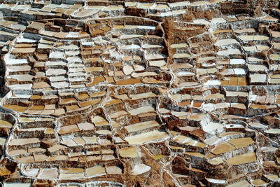 Full frame shot of logs in forest