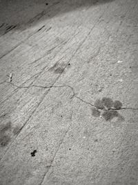 High angle view of footprints on sand