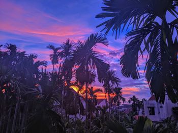 Silhouette palm trees against sky during sunset