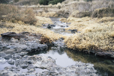 Scenic view of river flowing through rocks