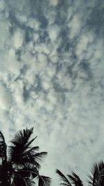 Low angle view of silhouette palm trees against sky