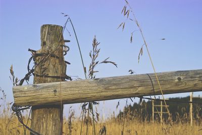 Barbed wire on wooden fence over field against clear sky