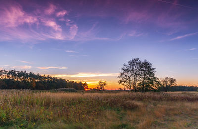 Scenic view of field against sky during sunset