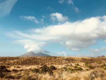 Scenic view of field against sky