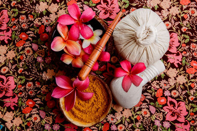 High angle view of pink flowering plants