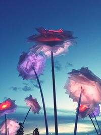 Low angle view of flower against sky