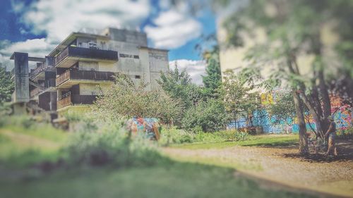 Plants growing on field