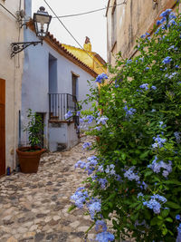 Narrow street with colored houses and flowers in mediterranean town