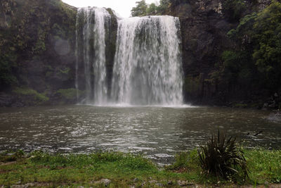 Scenic view of waterfall in forest