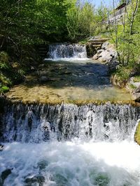 Scenic view of waterfall in forest