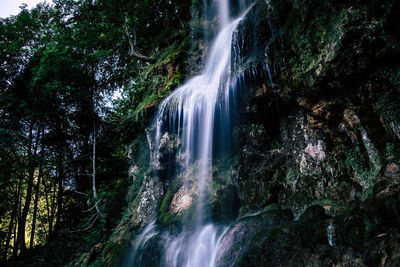 Scenic view of waterfall in forest