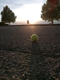 Close-up of ball on tree at sunset