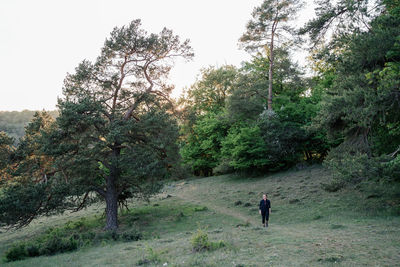 Rear view of man walking amidst trees