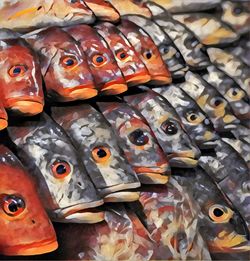 Full frame shot of lizard