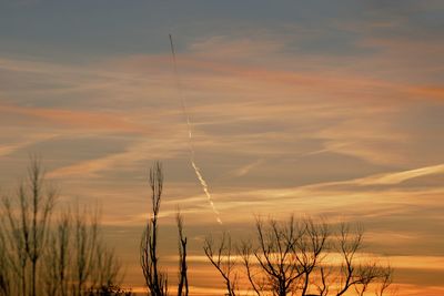 Low angle view of silhouette plants against sky during sunset