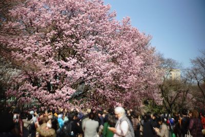 large group of people