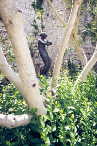 Close-up of bird perching on tree