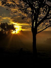 Silhouette tree on field against sky during sunset