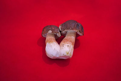 Close-up of heart shape against red background