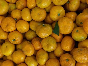 Full frame shot of oranges