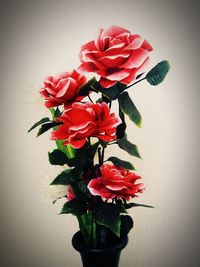 Close-up of red rose flower vase against wall