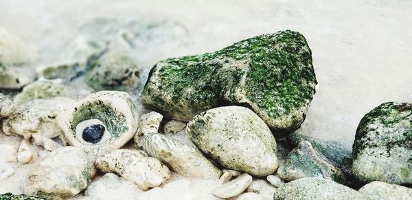 Close-up of pebbles on sand at beach