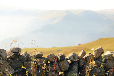 Stack of rocks on land against sky