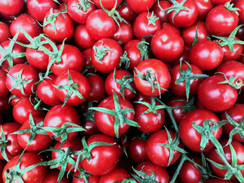 Red  tomatoes 