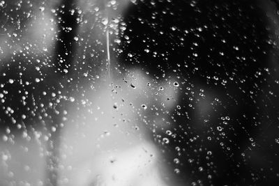 Close-up of water drops on glass