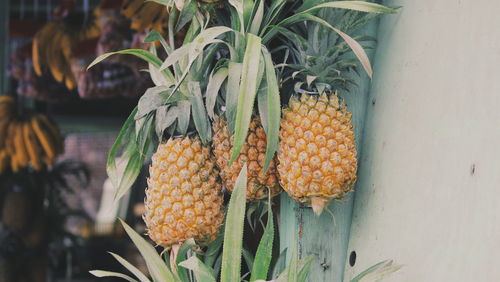 Close-up of fruits for sale at market stall