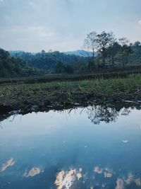 Scenic view of lake against sky
