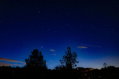 Low angle view of silhouette trees against sky at night