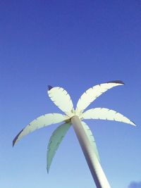 Low angle view of white flowers against blue sky