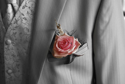 Close-up of pink rose