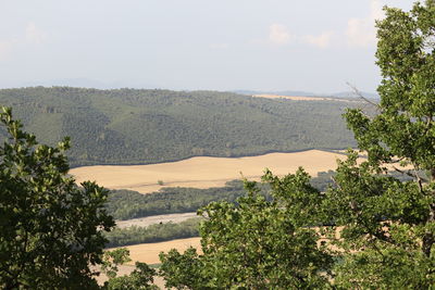 Scenic view of tree mountains against sky