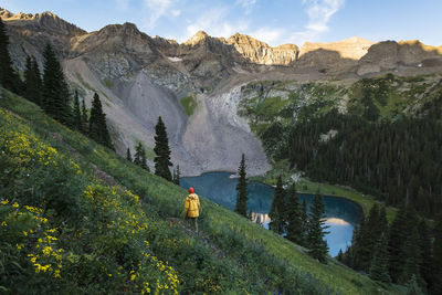 Male hiker walking amidst plants on mountain