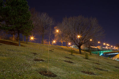 Illuminated sky at night