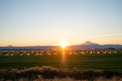Scenic view of field against sky during sunset