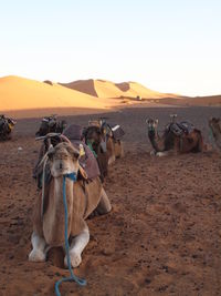 View of desert against clear sky