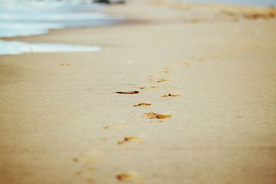 Surface level of beach