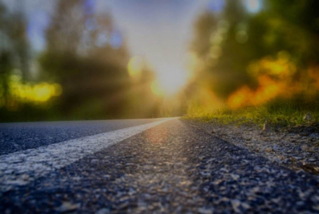 sunlight, morning, road, light, yellow, transportation, nature, surface level, asphalt, leaf, no people, plant, autumn, sky, selective focus, street, city, tree, outdoors, grass, reflection, day, country road, tranquility, beauty in nature, the way forward, environment, landscape, land, green, twilight, sun, horizon, symbol, road marking