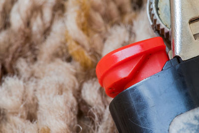Close-up of red toy in container