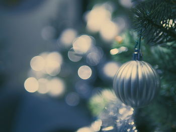 Close-up of christmas tree at night