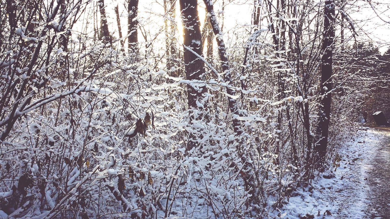 cold temperature, winter, snow, frozen, full frame, season, water, backgrounds, tree, nature, close-up, weather, branch, ice, bare tree, day, no people, outdoors, tranquility, beauty in nature