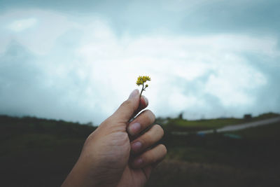 Cropped hand holding small flower against sky